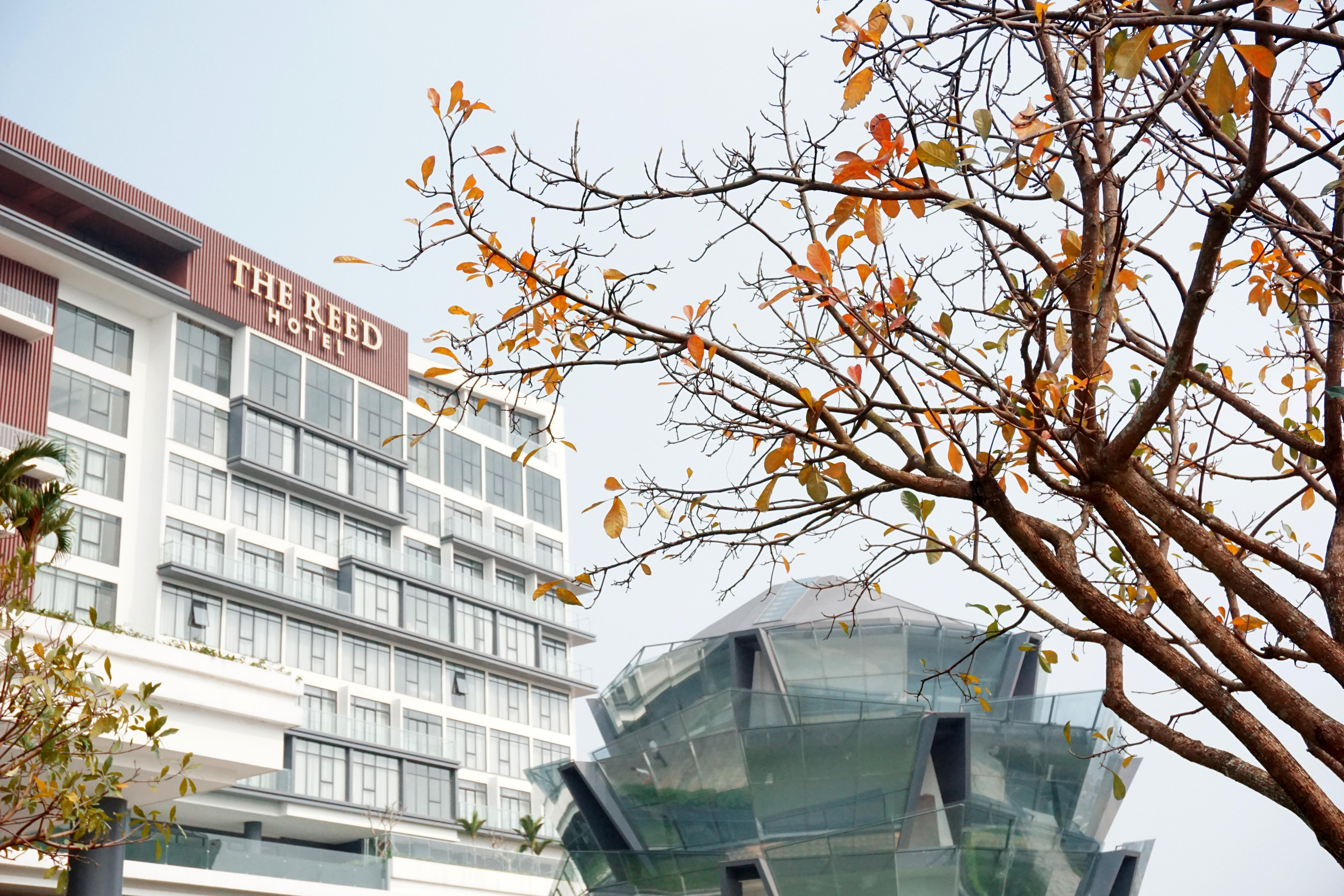 נין בין The Reed Hotel מראה חיצוני תמונה
